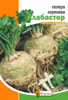 Насіння Яскрава Селера коренева Алабастер 3 г (42553)