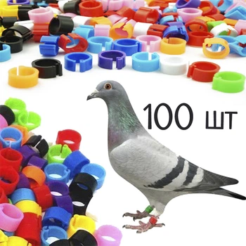 Кольца для домашней птицы маркировочные 100 шт 8 мм Разноцвет (1012-722-00)