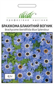 Насіння Брахікома Блакитний вогник Професійне насіння 0.1 г