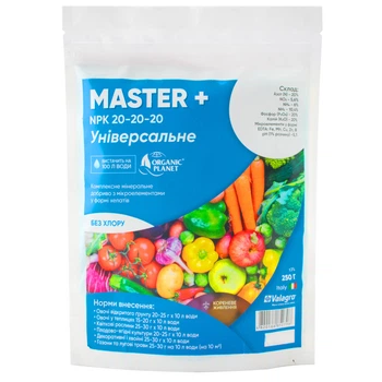Удобрение минеральное комплексное водорастворимое Master + 20.20.20 Valagro 250г