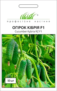 Семена огурец Кибрия F1 самоопыляемый 50 шт