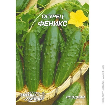 Огурец Феникс Семена Украины 5 г
