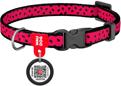 Нашийник для собак нейлоновий Collar WAUDOG Nylon з QR паспортом, малюнок "Кавун", пластиковий фастекс, XS, Ш 10 мм, Дов 20-30 см (5226)