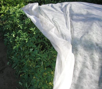 Агроволокно белое "GREENTEX", плотность: 23 г/м², 1,6 х 100 м - Польша