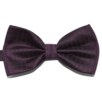 Метелик Bow Tie House сливовий в смужку 03097