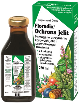 Дієтична добавка Herb-Piast Floradix Захист кишечника 250 мл (4004148017018)