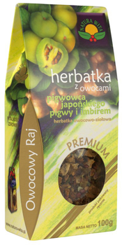 Herbata Natura Wita Pigwowiec, Pigwa I Imbir 100g (5902194540698)