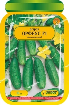 Семена Яскрава Огурец Орфеус F1 10 шт (34979)