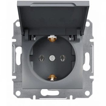 Розетка с заземлением кришкой Schneider Electric Asfora Сталь EPH3100162