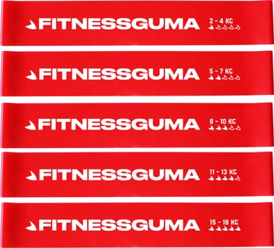 Набор резинок для фитнеса FITNESSGUMA 5 шт (A80040000083365)