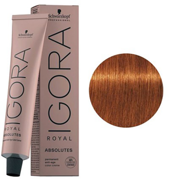 Farba do włosów Schwarzkopf Igora Royal Absolutes 7-70 Naturalny średni blond miedziany 60 ml (4045787279429)