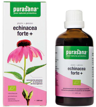Purasana Echinacea Forte jeżówka purpurowa bio 50 (5400706617024)