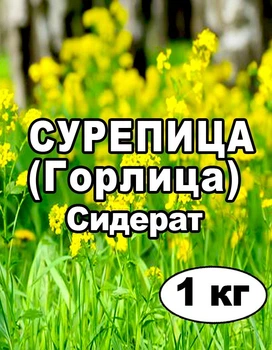 Семена Сурепица (Горлица) озимая, на сидерат, 1 кг