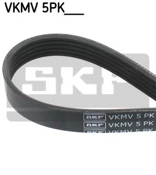 Поліклиновий ремінь SKF (VKMV 5PK1300)