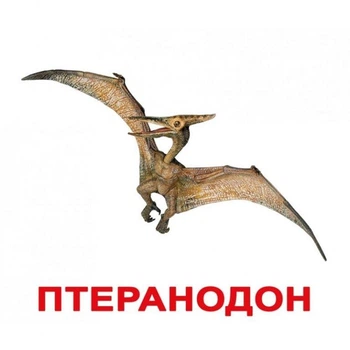 ДИНОЗАВРЫ. Карточки Домана. Вундеркинд с пелёнок. Ламинированные