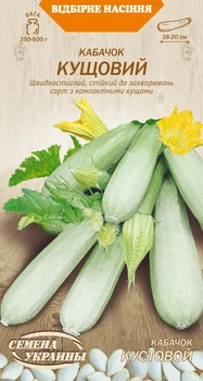 Семена Кабачок Кустовой, 3 г (Семена Украины)