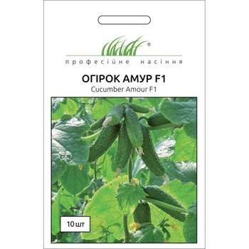 Семена Огурец Амур F1, 10 шт (Bejo Zaden)