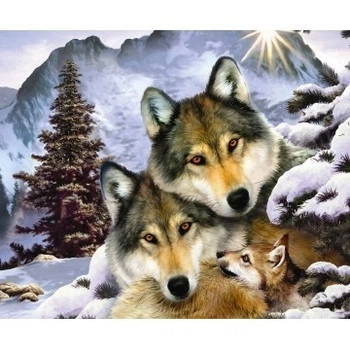Алмазная мозаика ColorArt 30х40см Волки ST406