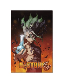 Постер плакат FNBK Доктор Стоун 1 (Dr. Stone) 30x40 см
