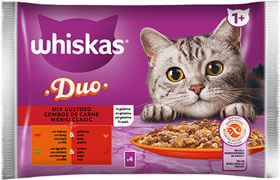 Вологий корм для дорослих котів Whiskas gelly duo mix 4x85 г (4770608262747)