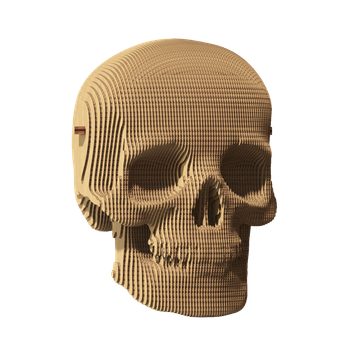 3D Пазл Картонный Cartonic Череп 72 детали