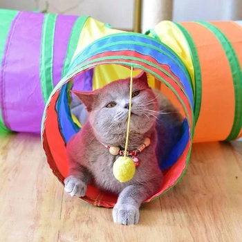 Как самостоятельно сделать туннель для кошек?