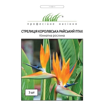 Стреліція Райський птах / 3 шт