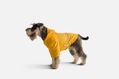 Дождевик с капюшоном для собак Noblepet Moss Yellow, одежда для собак унисекс, XL (M4106/XL)