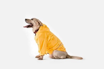 Дождевик с капюшоном для собак Noblepet Moss Yellow, одежда для собак унисекс, 2XL (M4106/2XL)