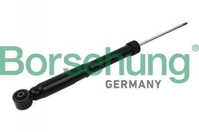 Амортизаторы Borsehung B12139 Seat Toledo; Skoda Rapid 6R0513025AN