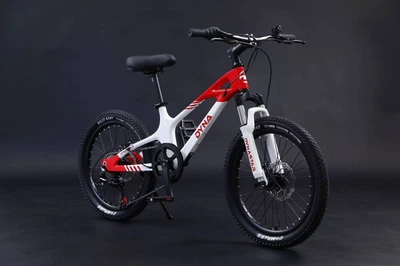 Велосипед детский 20" Dyna M-1 магнезиевый красно-белый