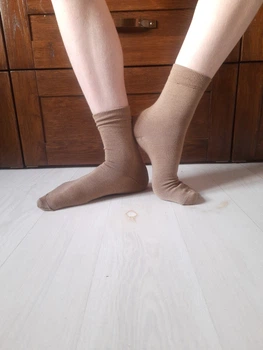 Термошкарпетки Merino Wool. Шкарпетки з вовни мериноса 90%. Розмір 25 (37-39). Бежеві. Класичні