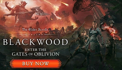 Игра The Elder Scrolls Online Collection: Blackwood для ПК (Ключ активации TESO)