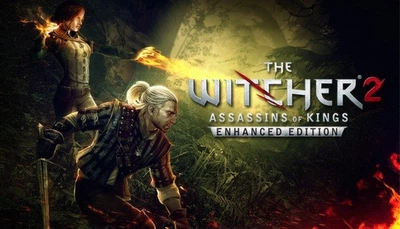 Игра The Witcher 2: Assassins of Kings Enhanced Edition для ПК (Ключ активации GOG)