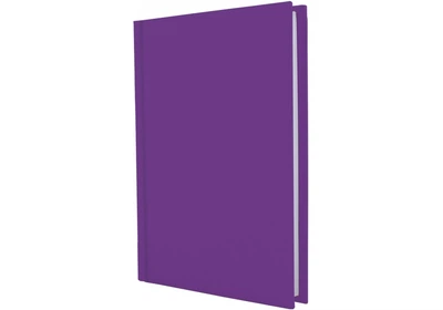 Ежедневник недатированный Economix Satin А5 320 страниц фиолетовый (E22032-12)