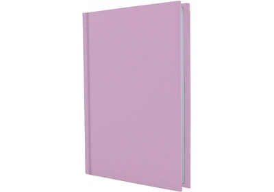 Ежедневник недатированный Economix Satin А5 320 страниц розовый (E22032-09)