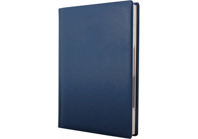 Дневник недатированный Cabinet Lizard А5 320 страниц синий (O25467-02)