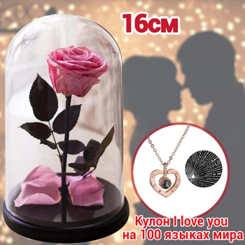 Троянда в колбі під скляним куполом яскрава ніжно рожева Rose of Love стабілізована квітка вічна троянда 16 см Pink + Кулон "Я Люблю Тебе" ста мовами світу