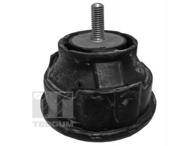 Подушки двигателя TEDGUM 00080630 BMW 3 Series 22116771359, 22116785583, 22116779972