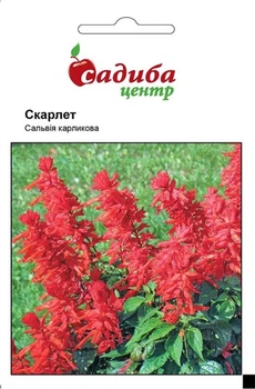 Семена Сальвия Скарлет Садыба центр 0.1 г
