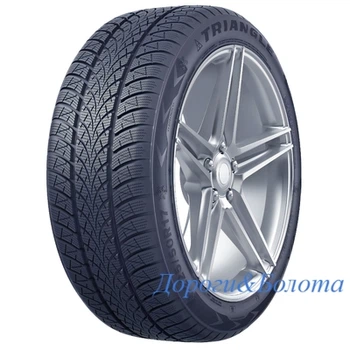 Triangle WinterX TW401 205/55 R16 94V XL