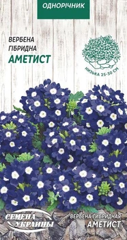 Насіння Вербена Аметист, гібридна, 0,1 г (Насіння України)