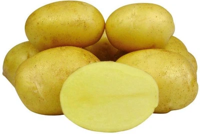 Семенной картофель Джелли 1 кг среднеранняя 1 репродукция Europlant