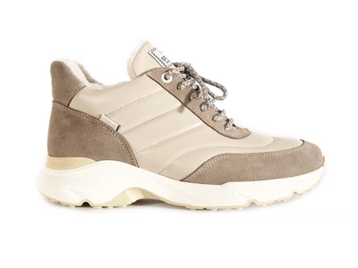 Черевики STEPTER 8244-1 36