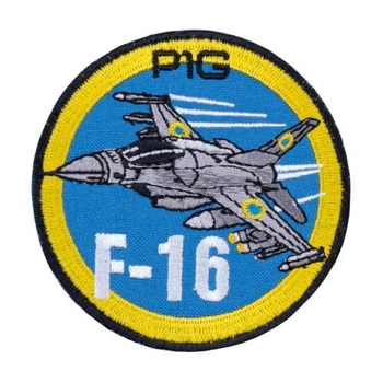 Нашивка P1G на липучці F-16 (Multi) 8x8 cm