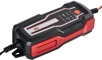 Зарядное устройство Vitals Master Smart 3000 (00000001825319)