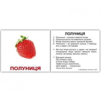 Міні-картки Домана "Фрукти" з фактами укр.