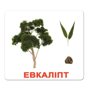 Картки Домана "Дерева" українською