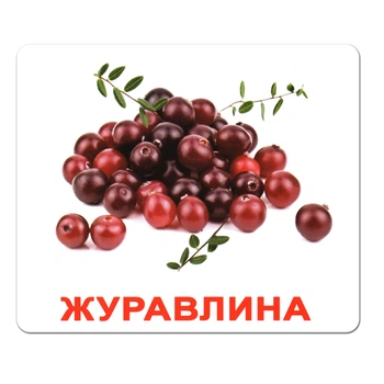 Ламіновані картки Домана "Ягоди" українською