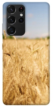 TPU чохол Demsky Поле пшеницы для Samsung Galaxy S21 Ultra